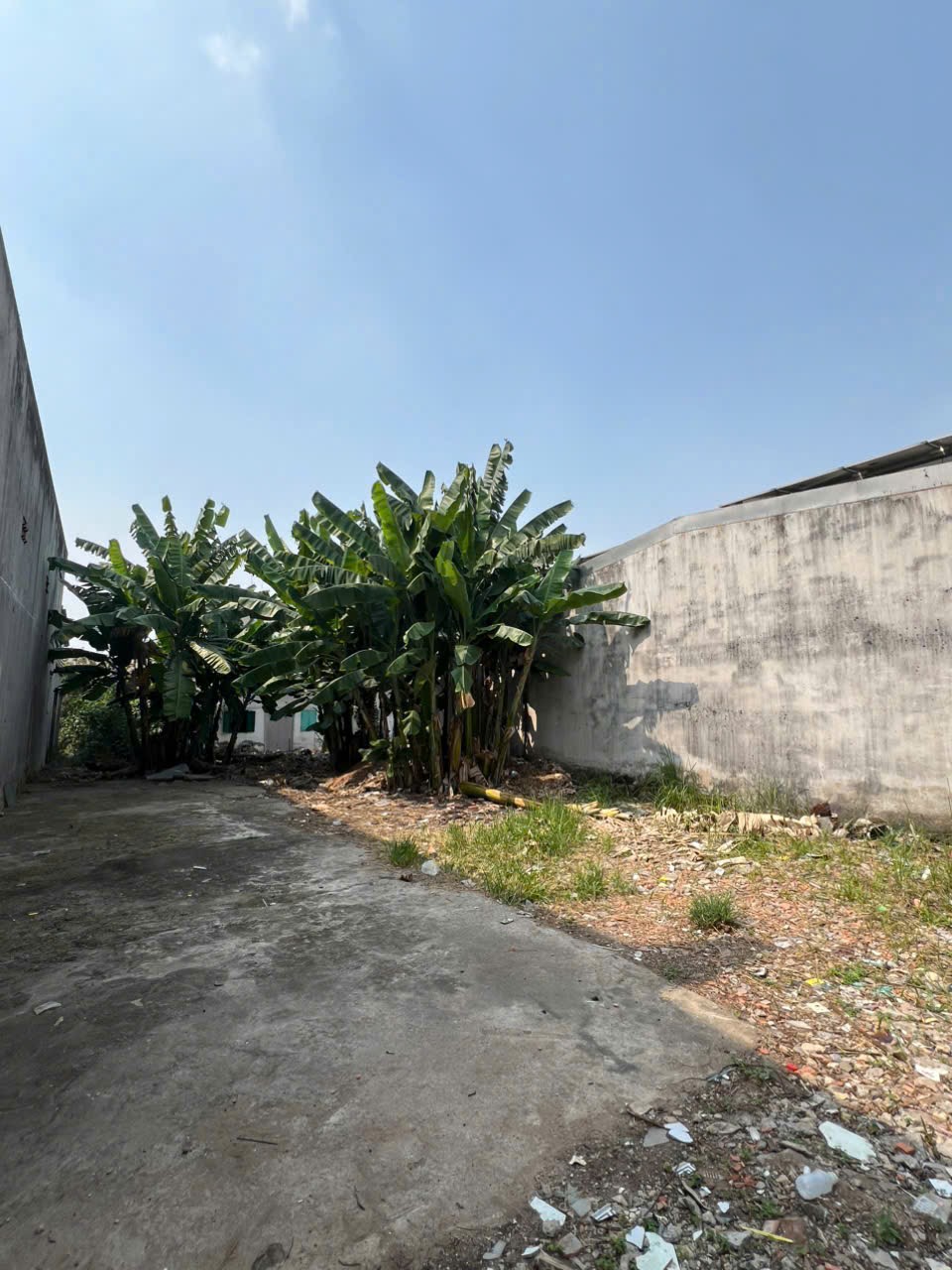 Bán Đất Lê Đình Cẩn 10 x 37m nở hậu 15.6