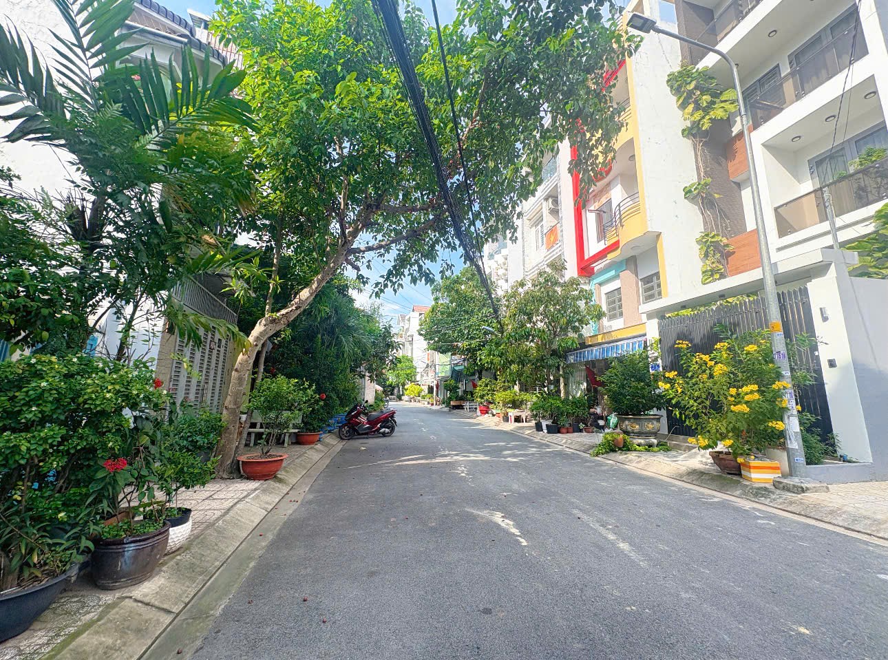 Bán Nhà hẻm Nguyễn Cửu Đàm 8 x 20m
