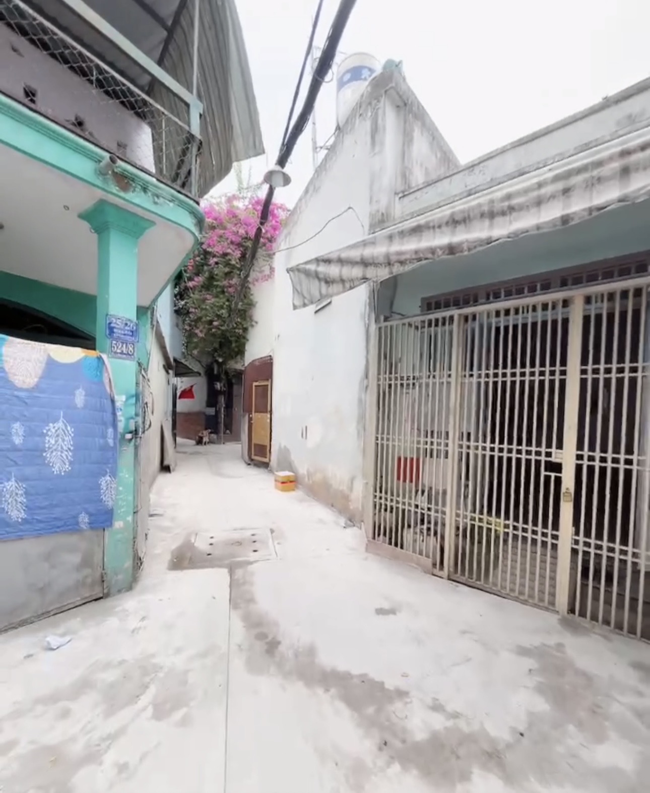 Bán Nhà hẻm Đoàn Giỏi   H4m thông đoàn giỏi P Tân Sơn nhì 
Dt: 7x11m 1 lầu ( 2 căn nhà) 
Giá 4.98 tỷ Thương lượng 
Đang cho thuê 9 tr/th