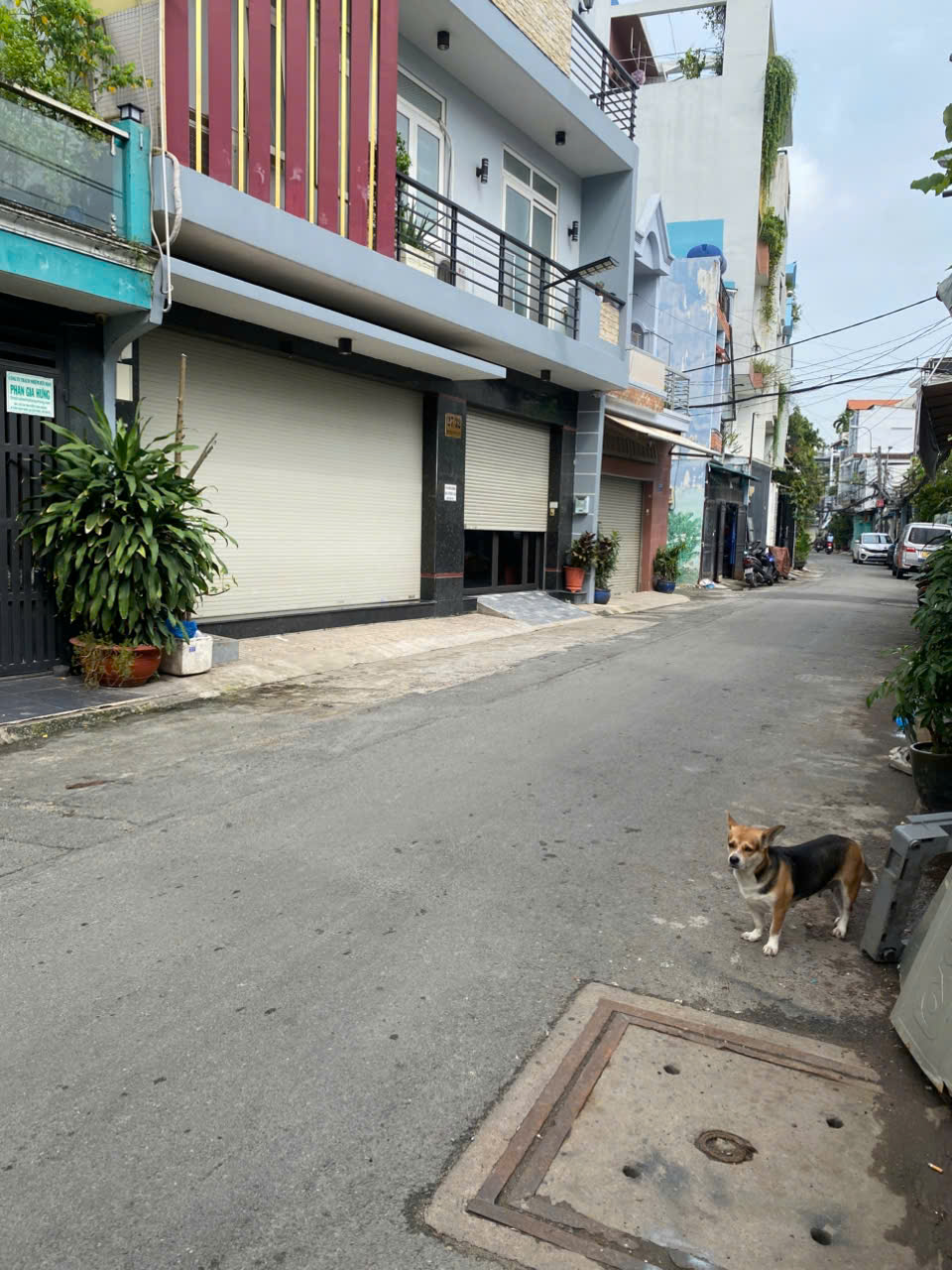 Bán Nhà hẻm Nguyễn Văn Săng 4x15.5m 1 lầu